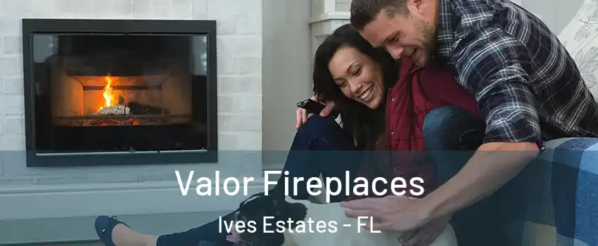  Valor Fireplaces Ives Estates - FL