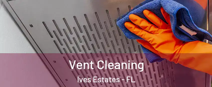  Vent Cleaning Ives Estates - FL