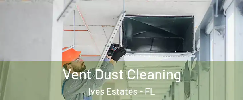  Vent Dust Cleaning Ives Estates - FL