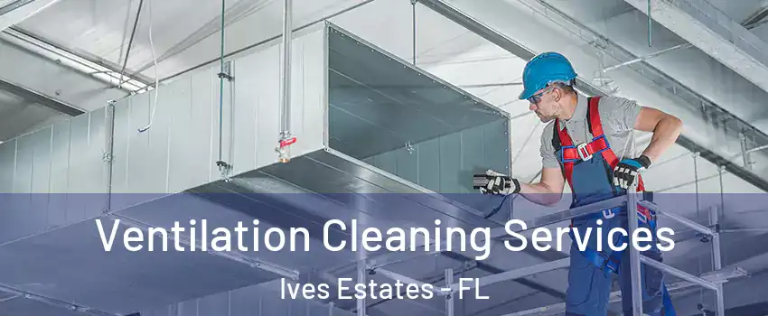 Ventilation Cleaning Services Ives Estates - FL