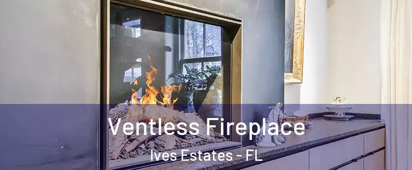  Ventless Fireplace Ives Estates - FL