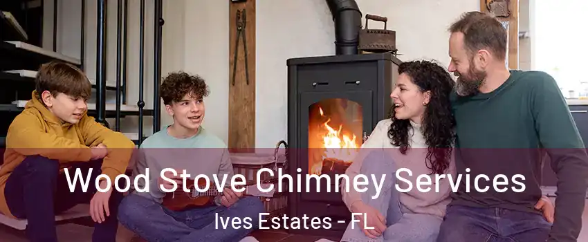 Wood Stove Chimney Services Ives Estates - FL