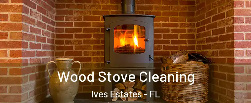  Wood Stove Cleaning Ives Estates - FL